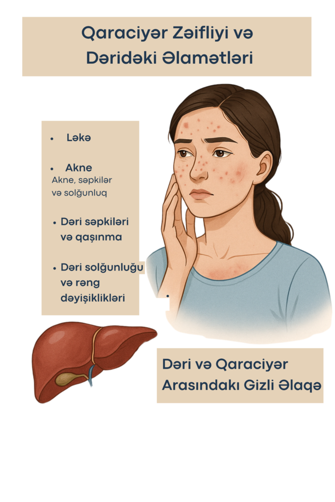 Qaraciyər Zəifliyi və Dəridəki Əlamətləri – Akne, Səpkilər və Solğunluq
